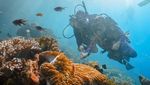 Bangga! Wisata Indonesia Naik Ranking 32 Dunia