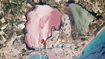 Foto Laguna Torrevieja di Spanyol yang berwarna unik. Yang pink adalah Torrevieja Salt Lagoon yang mengandung garam dan yang hijau adalah La Mata Lagoon yang airnya tawar. Foto: NASA