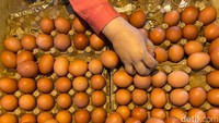 Terungkap! Ini Biang Kerok Harga Telur Ayam Sampai Rp 33.000/kg