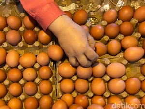 Harga Telur Ayam di Bandung Merangkak Naik Jelang Akhir Tahun