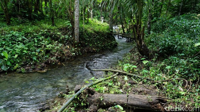 Kejernihan air di sumber mata air Udal Kali Gumuk, menjadi objek wisata alam yang menarik dikunjungi saat hari libur.