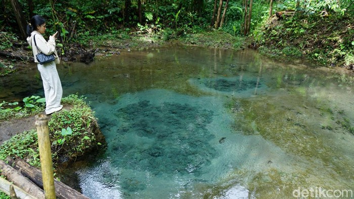 Jernihnya Air di Objek Wisata Udal Kali Gumuk Magelang Kejernihan air di sumber mata air Udal Kali Gumuk, menjadi objek wisata alam yang menarik dikunjungi saat hari libur.