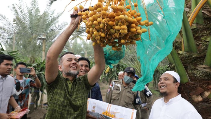 Musa Rajekshah mengunjungi kebun kurma di Kutambaru, Kecamatan Tiganderket, Kabupaten Karo, Rabu (1/6/2022). (DISKOMINFO SUMUT)