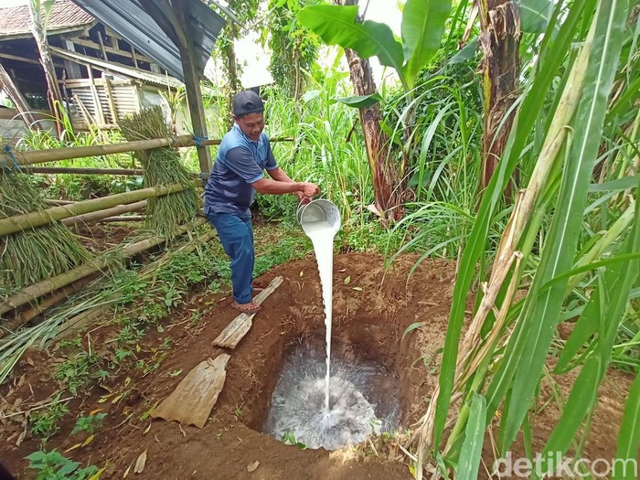 Peternak sapi perah di Ponorogo