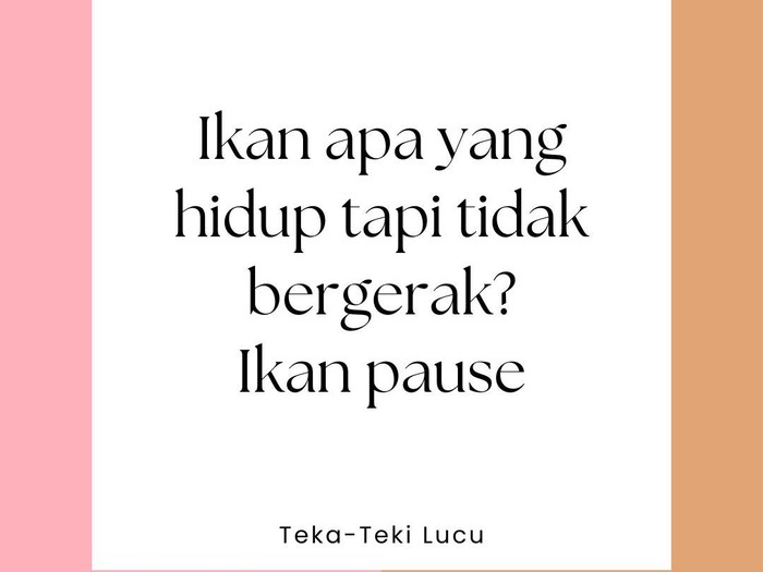 Teka-teki lucu tema hewan Teka-teki lucu tema hewan