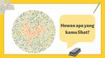 Ingin Tahu Buta Warna atau Tidak? Coba Tebak Satwa Apa yang Terlihat