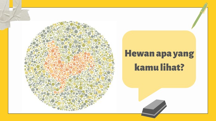 Biasanya dijadikan hewan ternak.