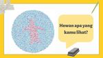Ingin Tahu Buta Warna atau Tidak? Coba Tebak Satwa Apa yang Terlihat