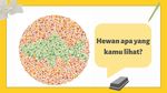 Ingin Tahu Buta Warna atau Tidak? Coba Tebak Satwa Apa yang Terlihat