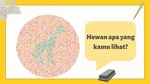Ingin Tahu Buta Warna atau Tidak? Coba Tebak Satwa Apa yang Terlihat
