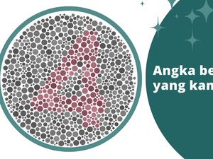 Buta Warna atau Cuma Kurang Fokus? Temukan Angka Tersembunyi di Gambar Ini