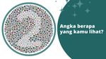 Buta Warna atau Cuma Kurang Fokus? Temukan Angka Tersembunyi di Gambar Ini