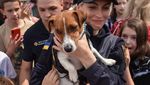 Bak Selebriti, Anjing Pelacak Ini Ramai Diajak Foto Bersama di Ukraina