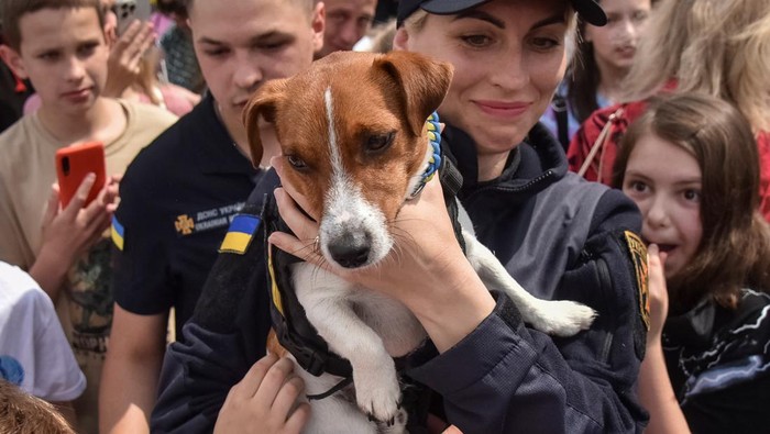 Patron jadi sorotan usai mendapat medali dari Presiden Ukraina. Bak selebriti, anjing pelacak ranjau ini dikeremuni dan jadi sasaran objek foto warga di Ukraina