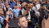 Sejumlah orang berkerumun di dekat Patron untuk berfoto bersama di kawasan Lviv, Ukraina, Rabu (1/6/2022). Patron merupakan anjing pelacak ranjau yang mendapat medali dari Presiden Ukraina, beberapa waktu lalu.