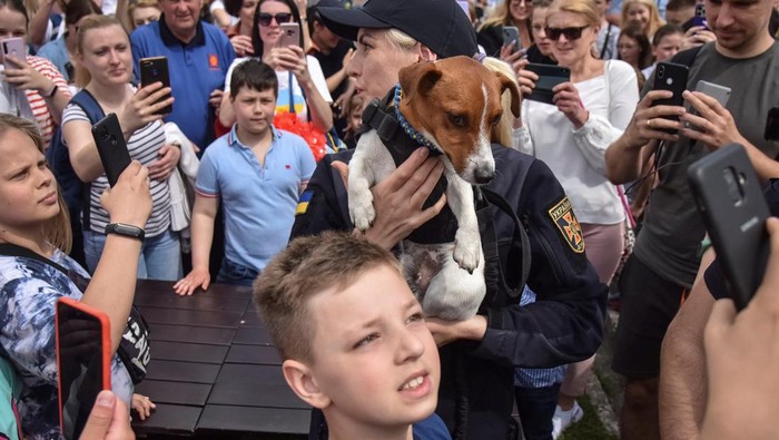 Patron jadi sorotan usai mendapat medali dari Presiden Ukraina. Bak selebriti, anjing pelacak ranjau ini dikeremuni dan jadi sasaran objek foto warga di Ukraina