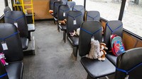 Bahkan, data yang ada menyebutkan, anak-anak ikut menjadi korban perang yang dilakukan oleh Rusia.  