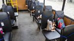 Ratusan Boneka Ini Duduk Manis dalam Bus-bus di Ukraina, Ada Apa?