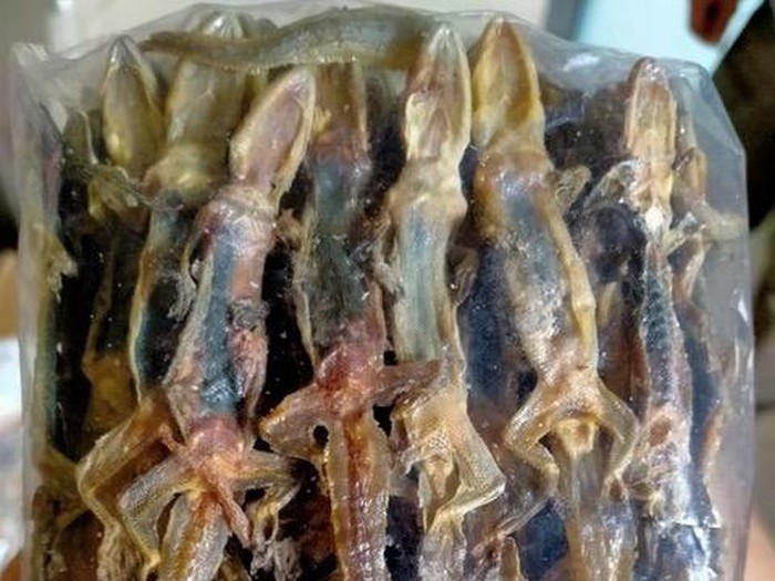 Cicak kering tembus pasar Hongkong