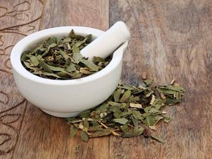 Daun Senna untuk Diet: Efektif atau Berbahaya?