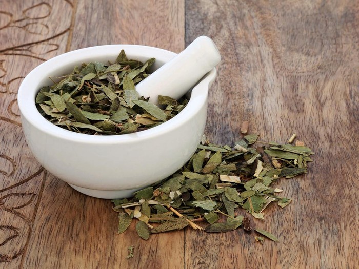 Daun senna yang diklaim bisa untuk diet. Foto: Getty Images/iStockphoto/mansum008 Daun senna yang diklaim bisa untuk diet. Foto: Getty Images/iStockphoto/mansum008