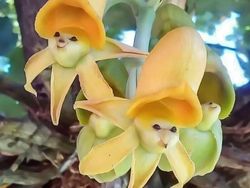 Netizen Bagikan Foto Uniknya Ciptaan Tuhan Bikin Mata Terperangah