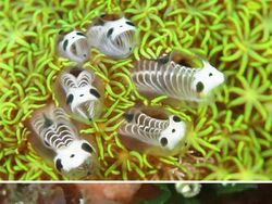 Netizen Bagikan Foto Uniknya Ciptaan Tuhan Bikin Mata Terperangah