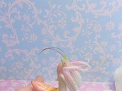 Netizen Bagikan Foto Uniknya Ciptaan Tuhan Bikin Mata Terperangah