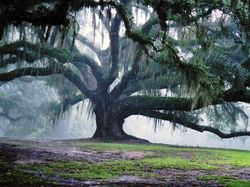 Netizen Bagikan Foto Uniknya Ciptaan Tuhan Bikin Mata Terperangah