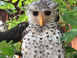 Netizen Bagikan Foto Uniknya Ciptaan Tuhan Bikin Mata Terperangah