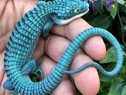 Netizen Bagikan Foto Uniknya Ciptaan Tuhan Bikin Mata Terperangah