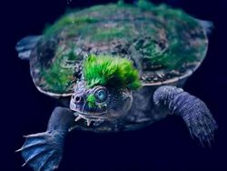 Netizen Bagikan Foto Uniknya Ciptaan Tuhan Bikin Mata Terperangah