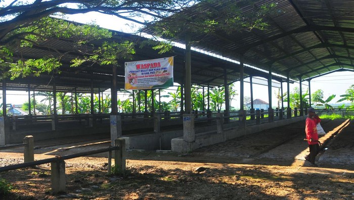 Tengah, ditutup mulai 2 Juni-16 Juni 2022. Penutupan dilakukan guna cegah penyebaran virus Penyakit Mulut dan Kuku (PMK).