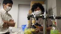 Machida dan Sakai berharap dapat membantu mengurangi pemanasan global, mengurangi masalah yang berkaitan dengan bahan makanan yang terbuang sehingga mengeluarkan metana ketika membusuk saat dikubur di tempat pembuangan sampah.  