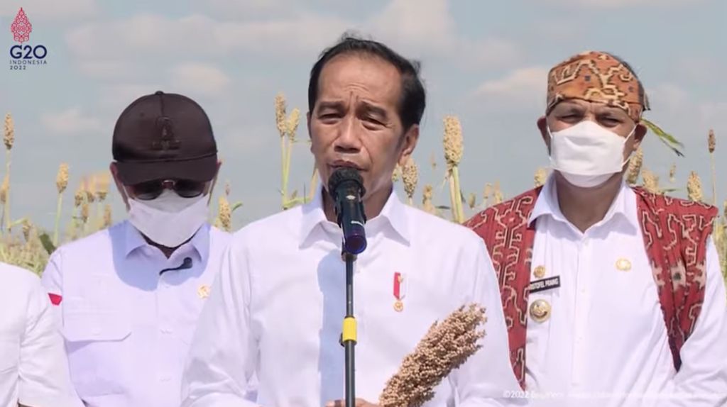 Jokowi Tanam Bibit dan Tinjau Panen Sorgum, Sumba Timur, 2 Juni 2022