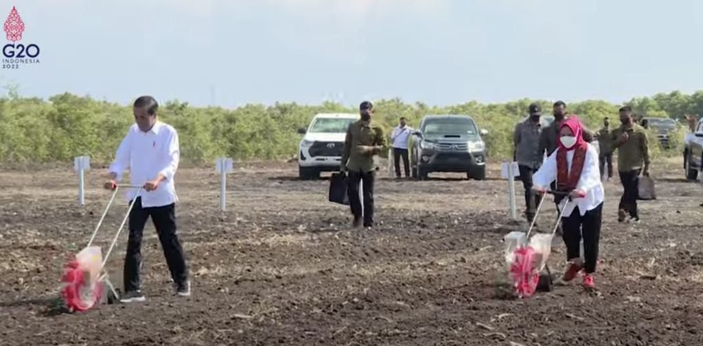 Jokowi Tanam Bibit dan Tinjau Panen Sorgum, Sumba Timur, 2 Juni 2022. (Tangkapan Layar Youtube)