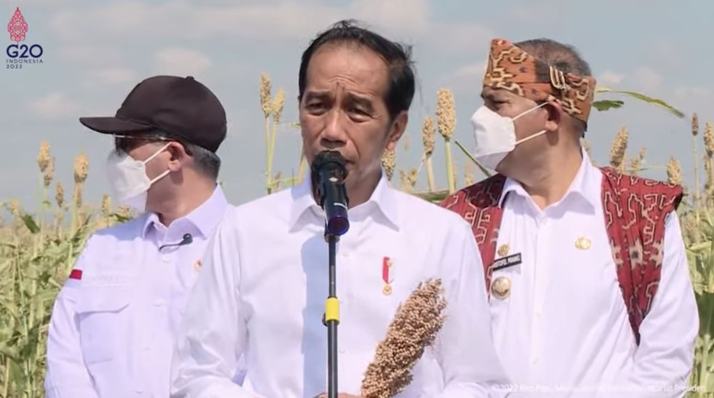 Jokowi Tanam Bibit dan Tinjau Panen Sorgum, Sumba Timur, 2 Juni 2022