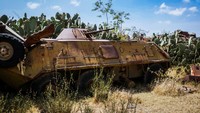 Karena kekuatan dukungan ini, Eritrea akhirnya memenangkan perang yang berlangsung selama 30 tahun tersebut. (Getty Images/iStockphoto)