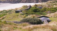 Para penguin bisa memulihkan diri saat berada di dekat Penguin Place ini. Lalu ada The Wildlife Hospital Dunedin merawat mereka yang cedera dan berpenyakit serius.