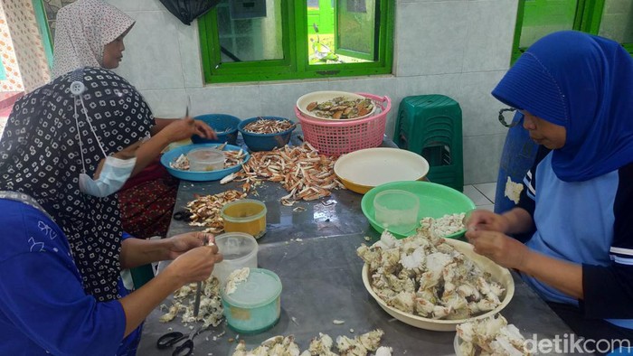 rajungan lamongan murah