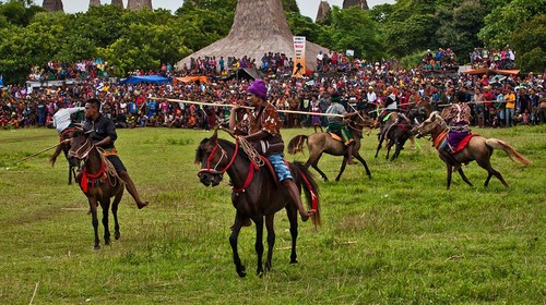 Ritus Pasola, salah satu budaya khas masyarakat NTT.
