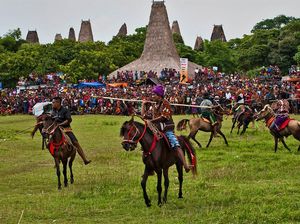 5 Budaya Khas Daerah NTT, Ada Tradisi Lempar Kerbau!