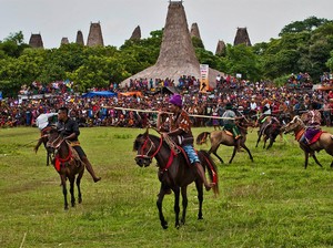 5 Budaya Khas Daerah NTT, Ada Tradisi Lempar Kerbau!