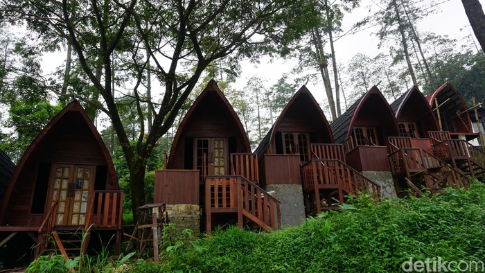 Rumah pohon di Pacet