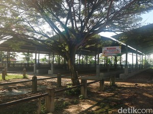 Ratusan Sapi Terindikasi PMK, Semua Pasar Hewan di Pati Tutup 2 Pekan