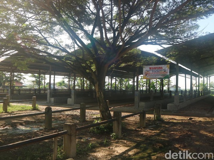 Suasana Pasar Hewan Margorejo, Pati ditutup sementara, Kamis (2/6/2022)
