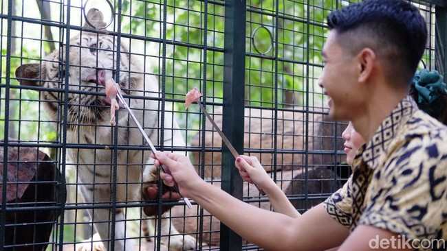 Ada Wahana Baru di Taman Safari Prigen, Intip Yuk!