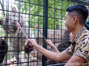 Ada Wahana Baru di Taman Safari Prigen, Intip Yuk!
