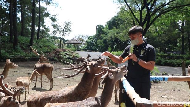 Taman Safari Prigen Pasuruan