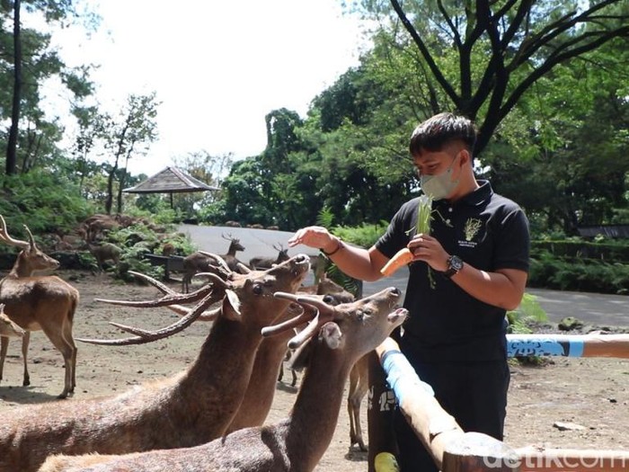Taman Safari Prigen Pasuruan